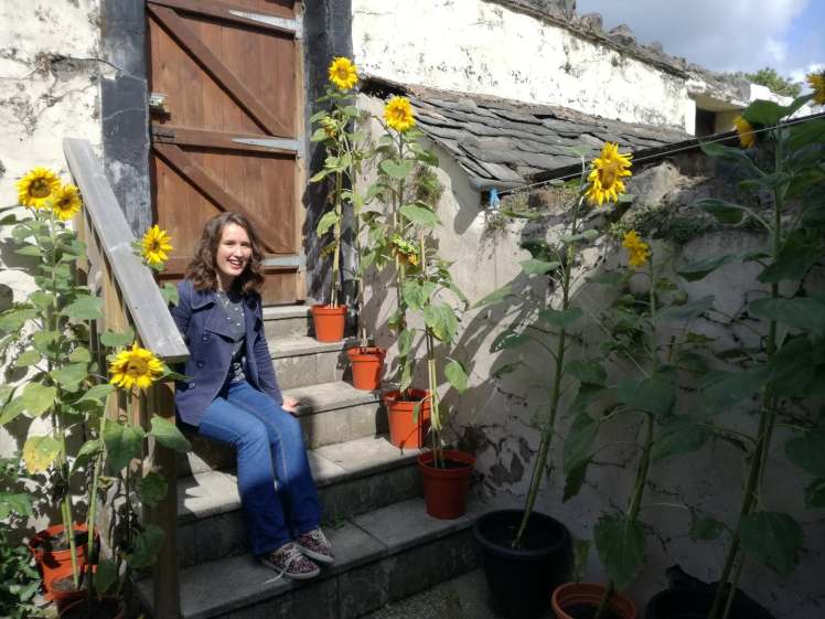 40104079_306355986837147_6640218395386052608_n